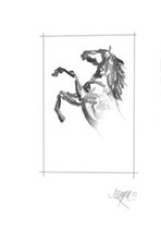 032 Rearing left
